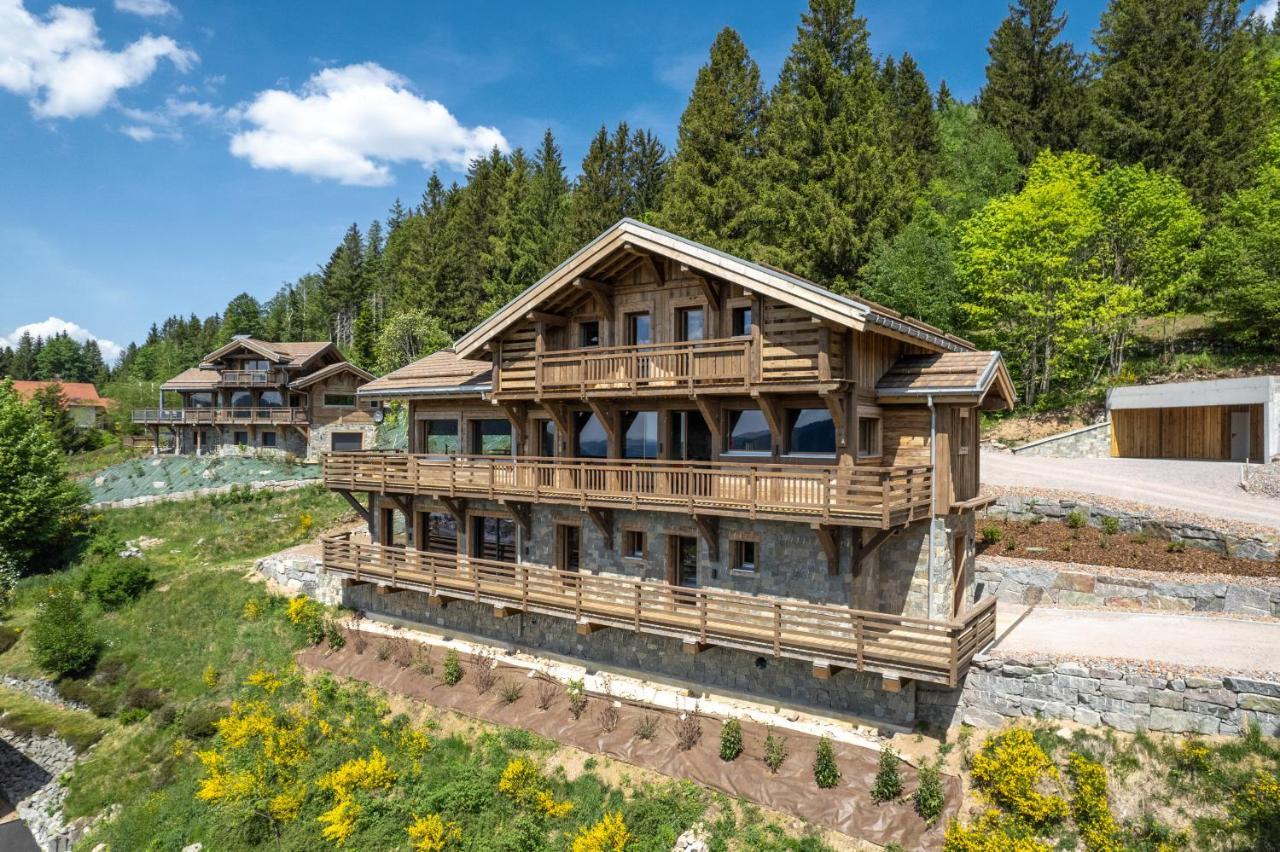 Aigle Des Neiges 5 Etoiles Villa Gérardmer Eksteriør billede